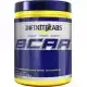 Infinite Labs BCAA 240 Gr